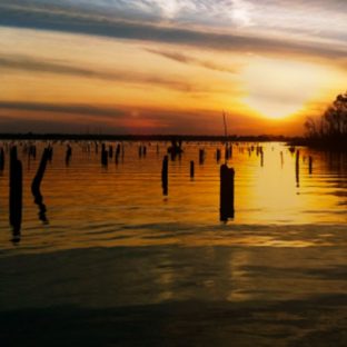 Lake Fork