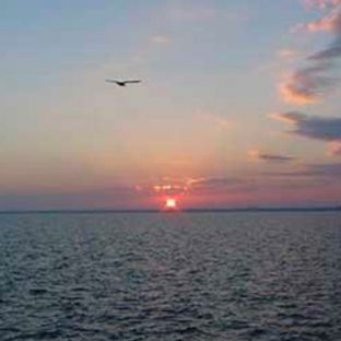 lake livingston