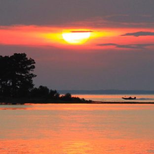 lake sam rayburn