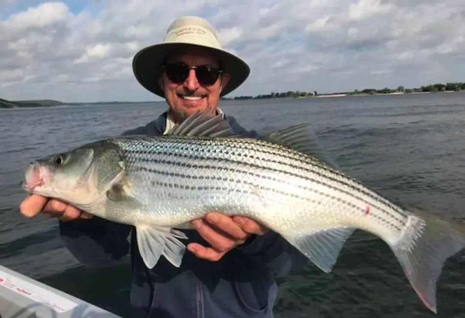 A Gift of Catching Striped Bass, Crappie or Largemouth Bass – LakeHub