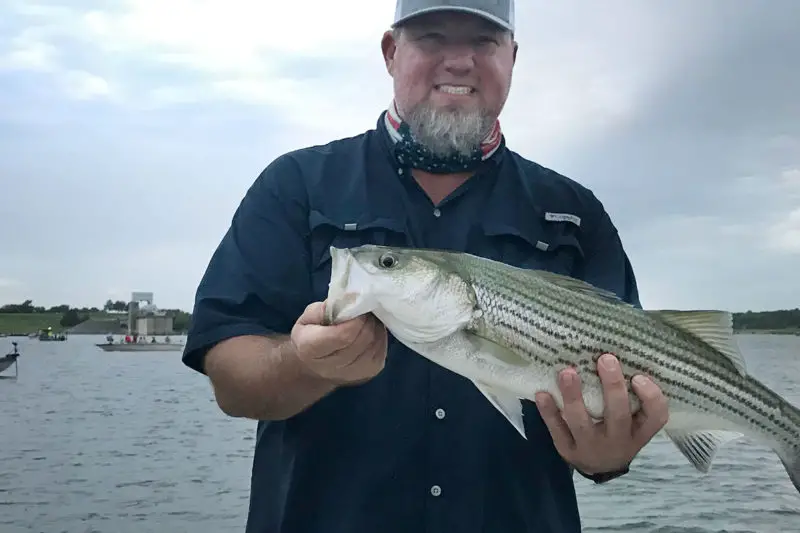 best lures for striped bass