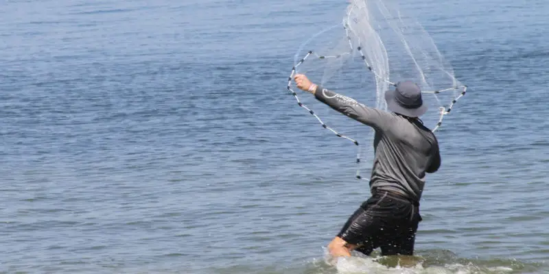 catch your own live bait with a cast net