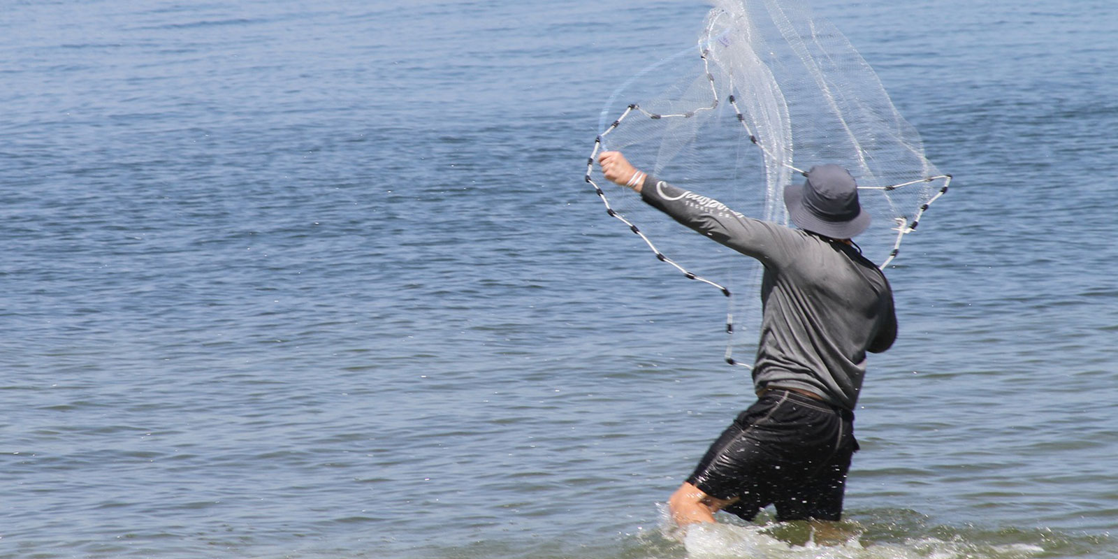 catch your own live bait with a cast net