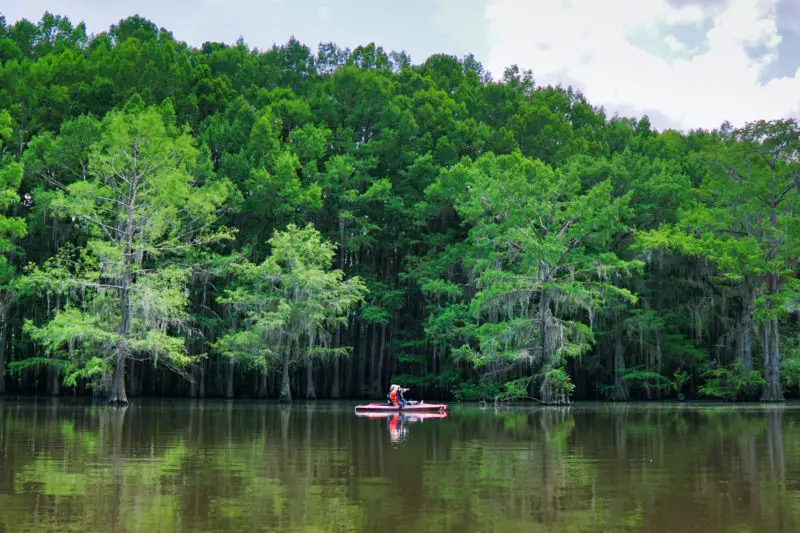 caddo lake