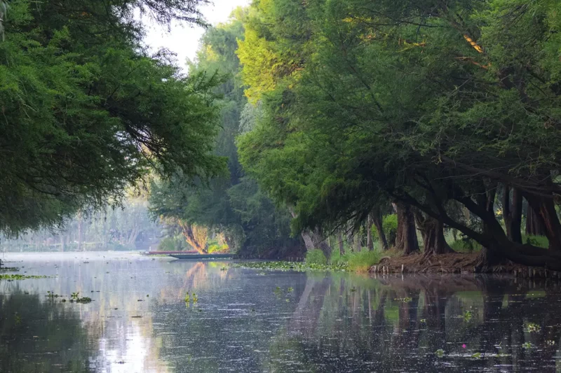 Lake Xochimilco