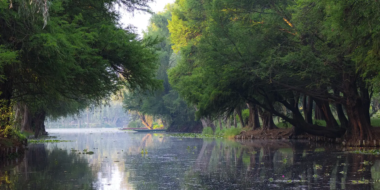 Lake Xochimilco