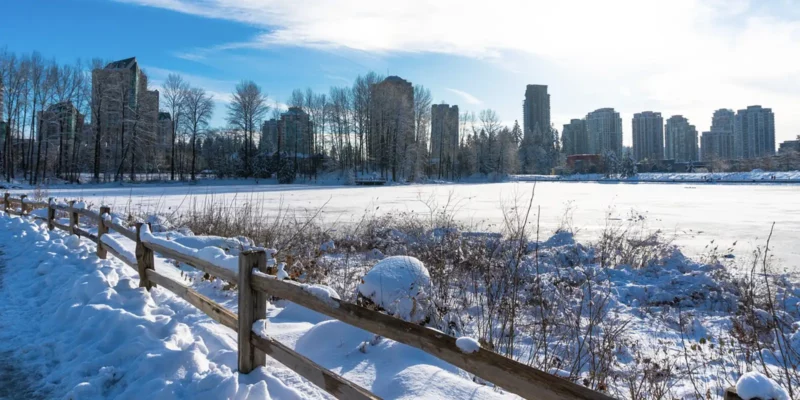 The Lights at Lafarge Lake