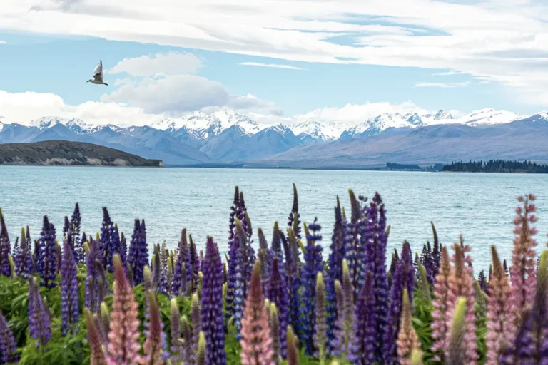 Lake Tekapo
