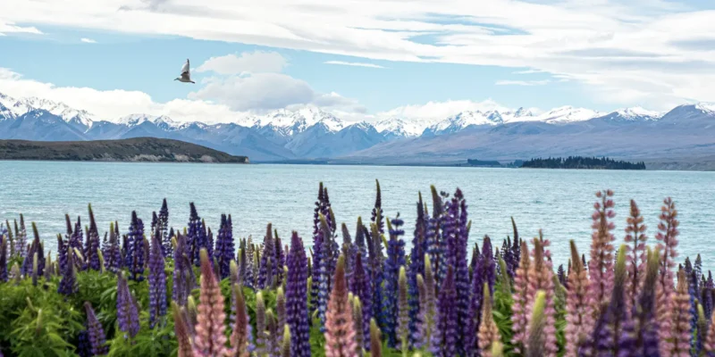 Lake Tekapo
