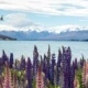 Lake Tekapo