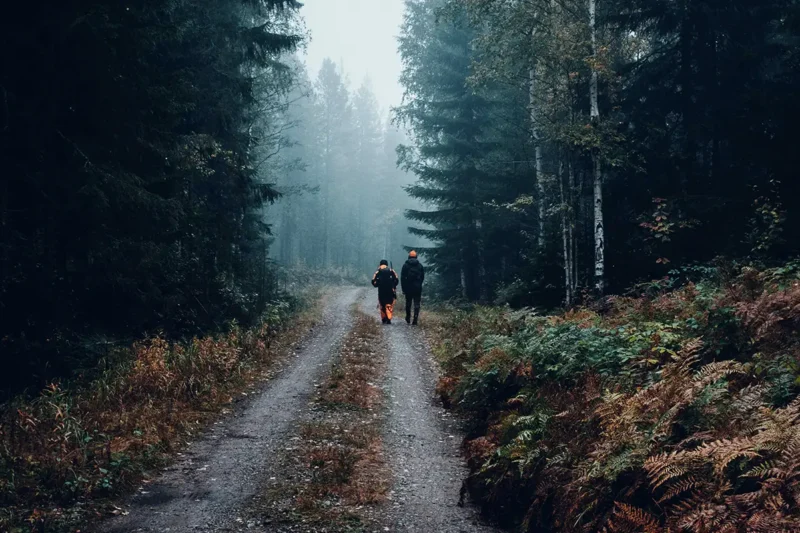 top hunting strategies